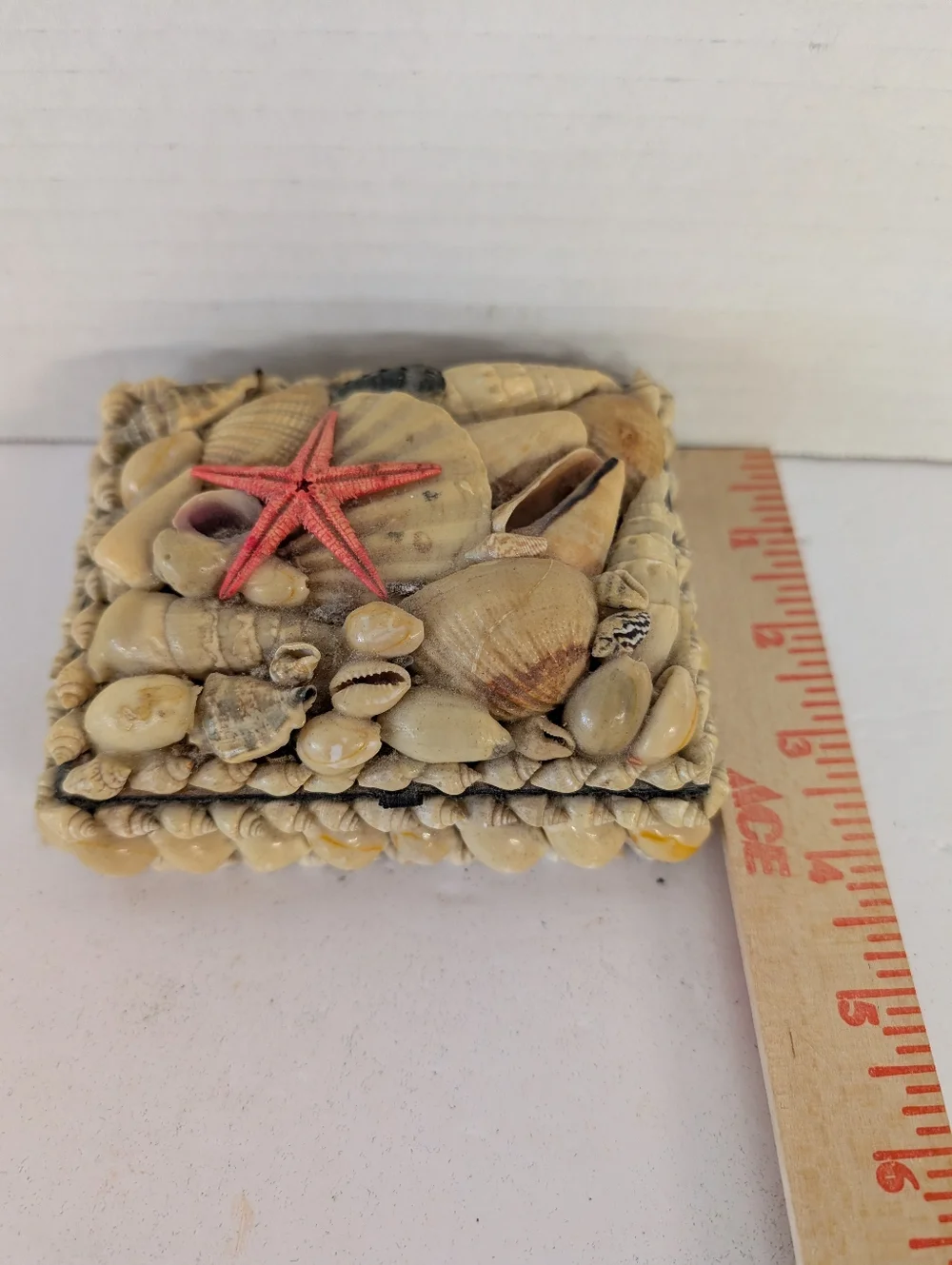 Vintage Box Seashell Decorative Trinket Box Starfish Accent. Old Shell Art.